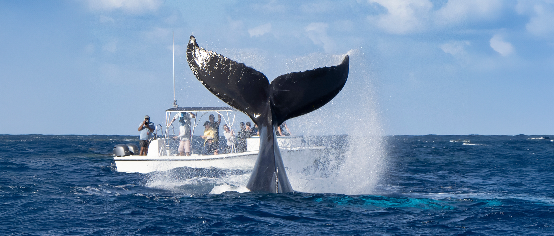 Winter Escape: Discover Whale Watching Season in Riviera Nayarit & Where to Stay