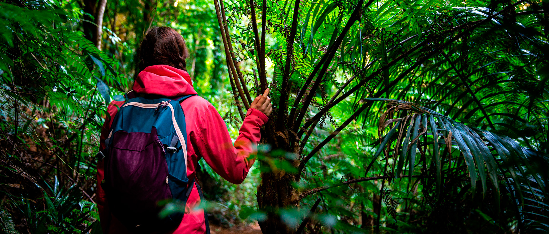 The Top Hiking Trails in Puerto Vallarta and Riviera Nayarit