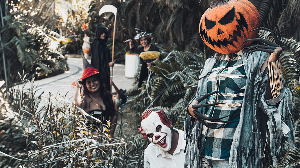 Celebrating Halloween in Riviera Nayarit: A Complete Guide