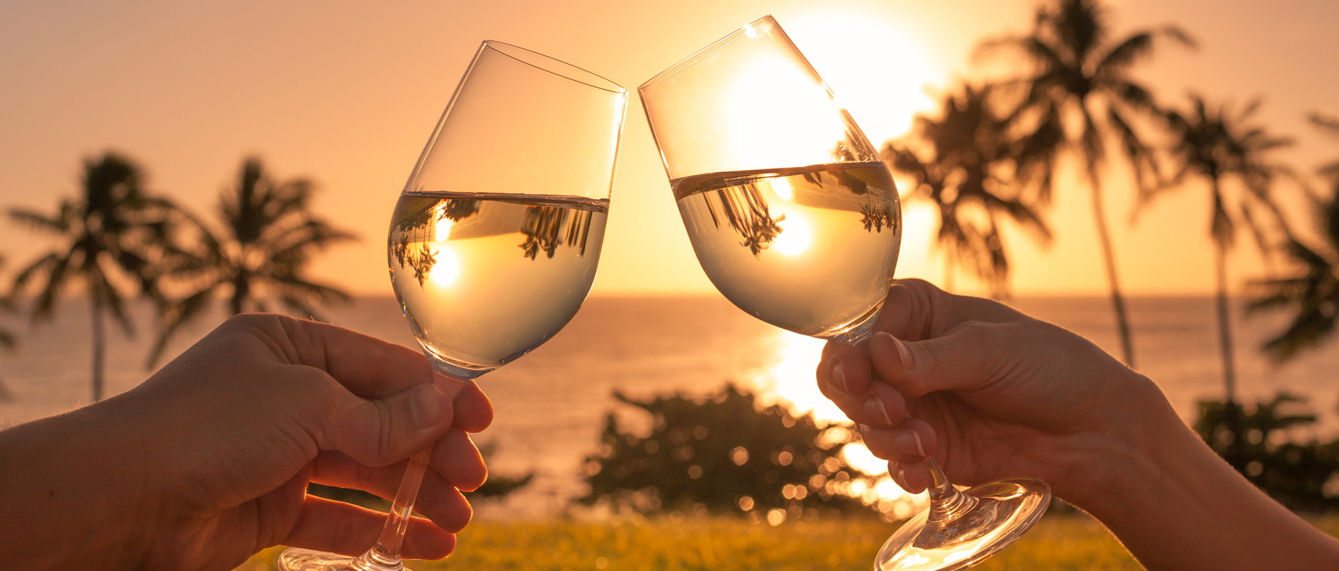 Start the New Year Right: January in the Riviera Nayarit