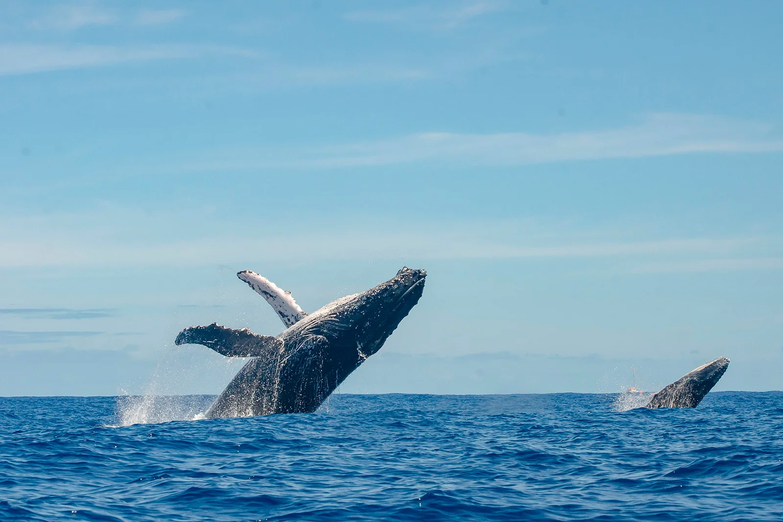 Nuevo Nayarit, Nayarit, Mexico