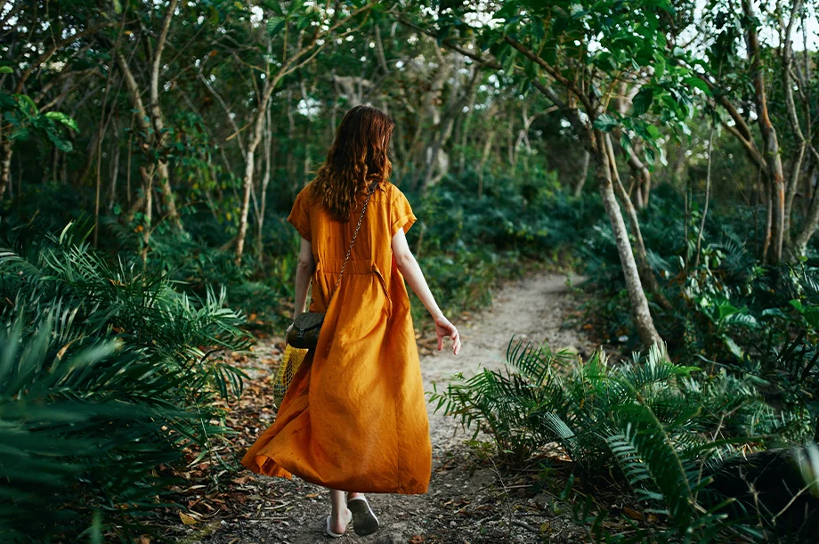 Explore Nuevo Vallarta