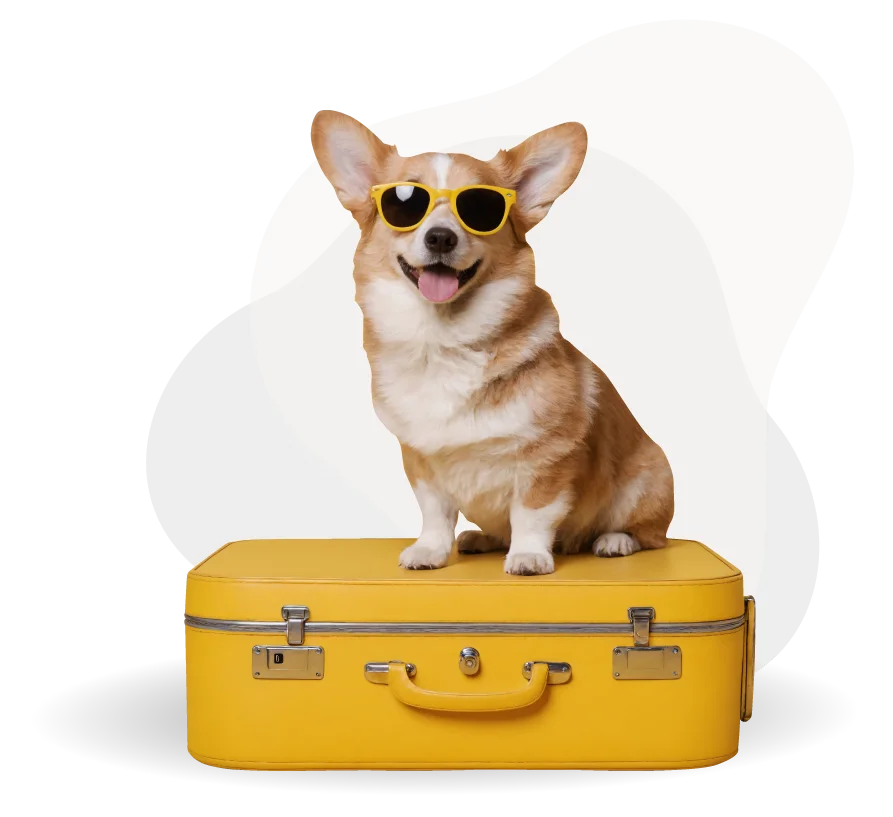 Travel Paws Nuevo Vallarta